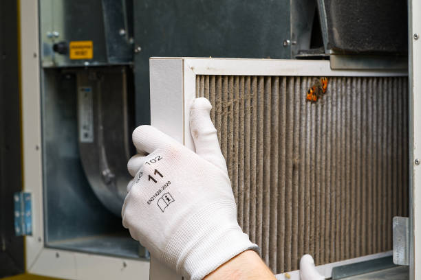 Best Dryer Vent Cleaning Services  in Junction City, OR