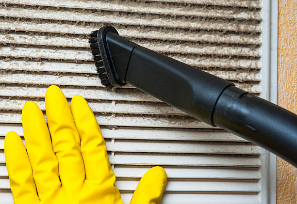 Best Professional Duct Cleaning Services  in Junction City, OR